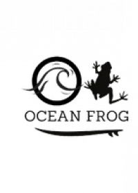 Ocean Frog Training Academy - Beach Lifeguard Training