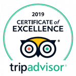 trip advisor surfing centre of excellence